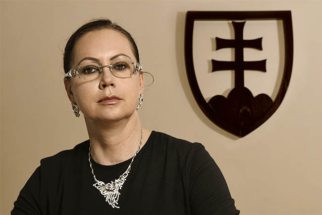 Ateliérový portrét a portrét v prirodzenom prostredí. Architektúra, spoločenské udalosti, reklmná a produktová fotografia, šport, dokument a reportáž. 